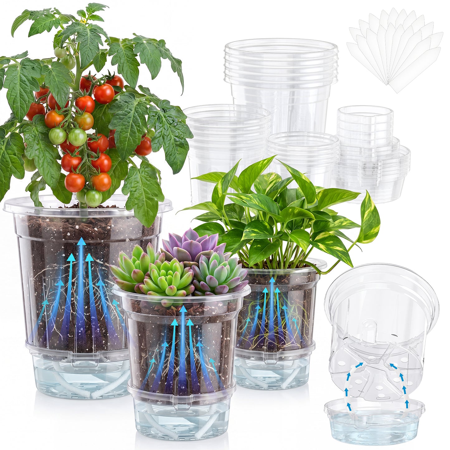 18 Pack Clear Self Watering Plant Pots, 6.5/5/4 Inch Plastic Planters with Drainage Holes and Deep Water Reservoir, Reinforced Transparent Nursery Pots for Indoor Outdoor, Includes 20 Plant Labels
