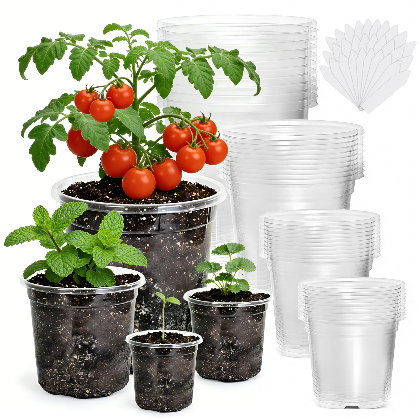 36 Pack Clear Nursery Pots, 6.7/5/4/3.5 Inch Plastic Plant Pots with Drainage Holes, Reinforced Transparent Seedling Pots for Indoor Outdoor Use, Includes 30 Plant Labels