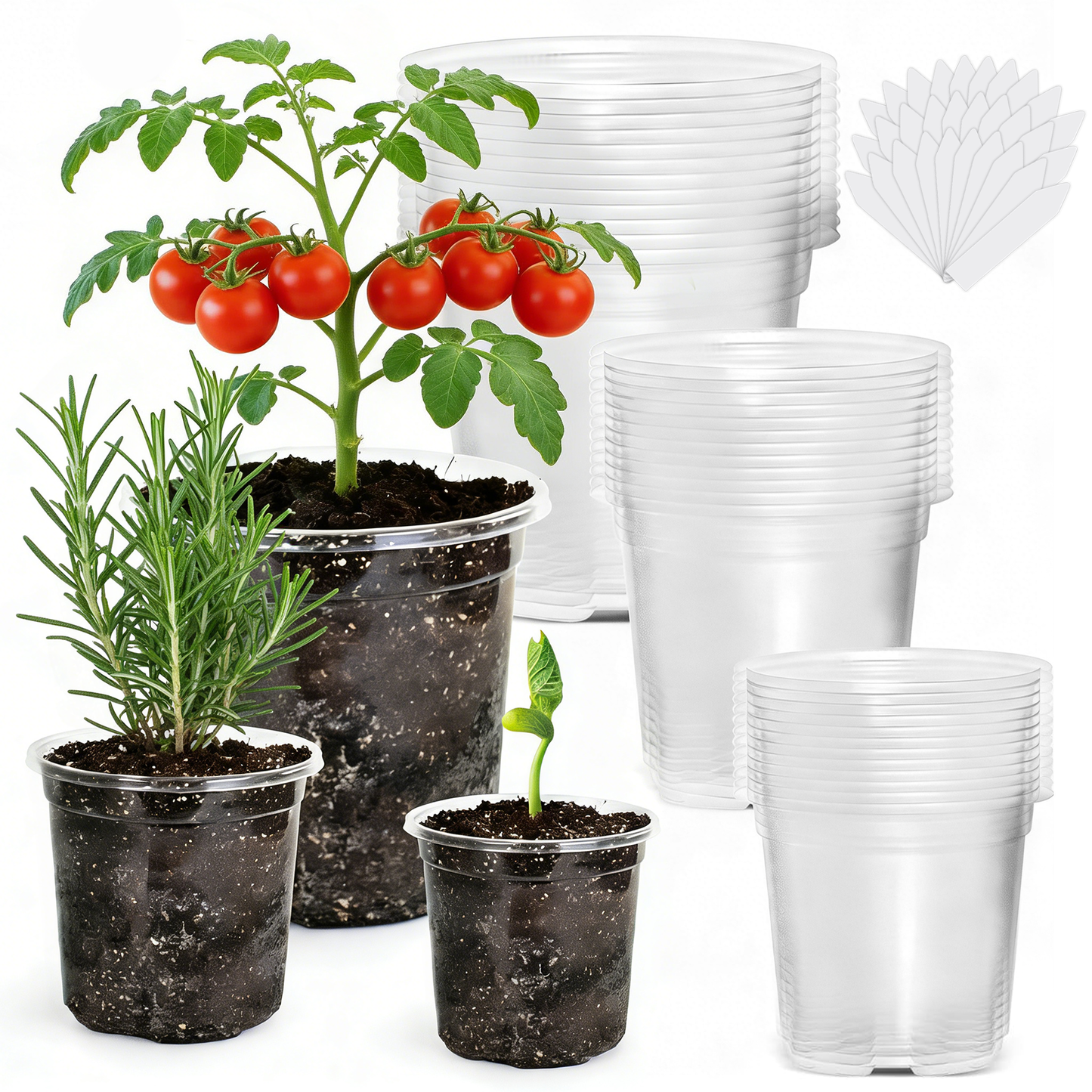 36 Pack Clear Nursery Pots, 5/4/3.5 Inch Plastic Plant Pots with Drainage Holes, Reinforced Transparent Seedling Pots for Indoor Outdoor Use, Includes 30 Plant Labels