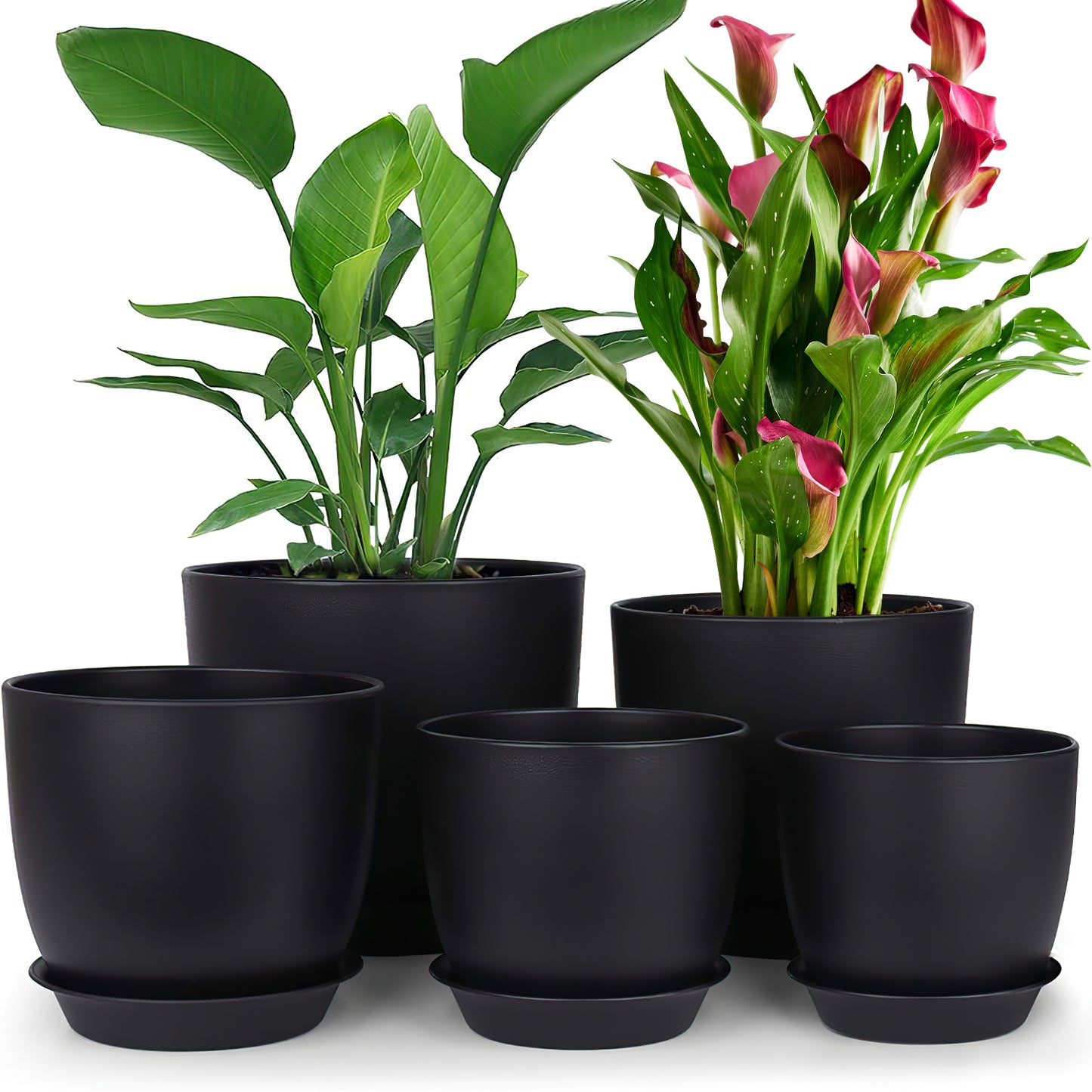 5 Pack Plant Pots, Flower Pots with Drainage Holes and Saucers, Plastic Planters for Indoor Outdoor Garden Plants, 7/6.5/5.5/5/4.5 Inch（Black）